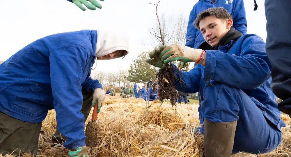 Des élèves plantent la MiniBigForest des Herbiers